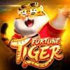 melhor plataforma para jogar fortune tiger - Slots Casino ícone